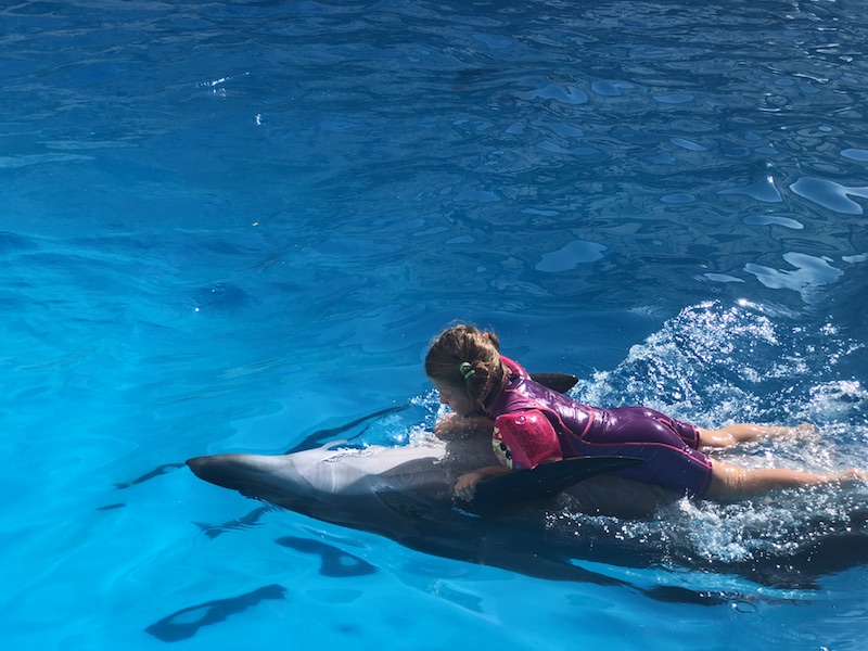 Podróże przez tajemniczy świat delfinów i autyzmu